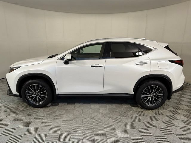 Used 2025 Lexus NX 350 AWD w/ Premium Package image 3