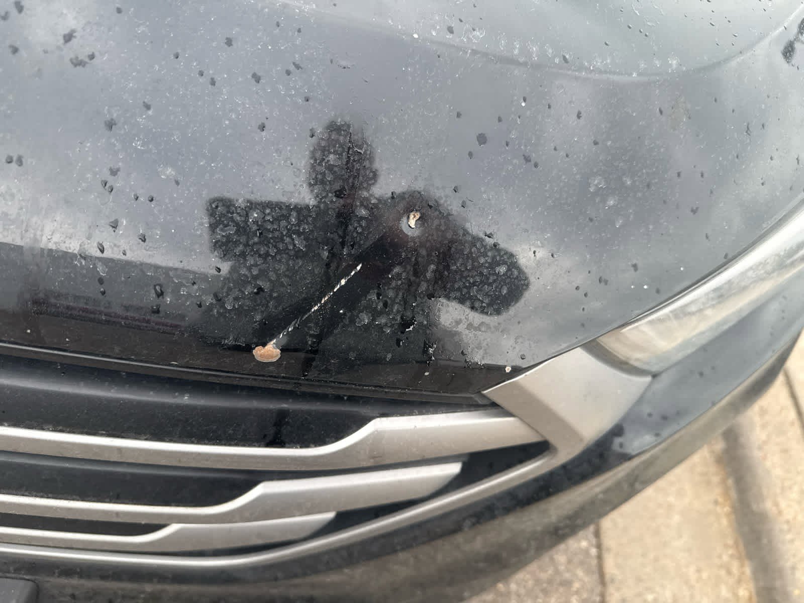 Used 2018 Hyundai Tucson SEL Plus image 5