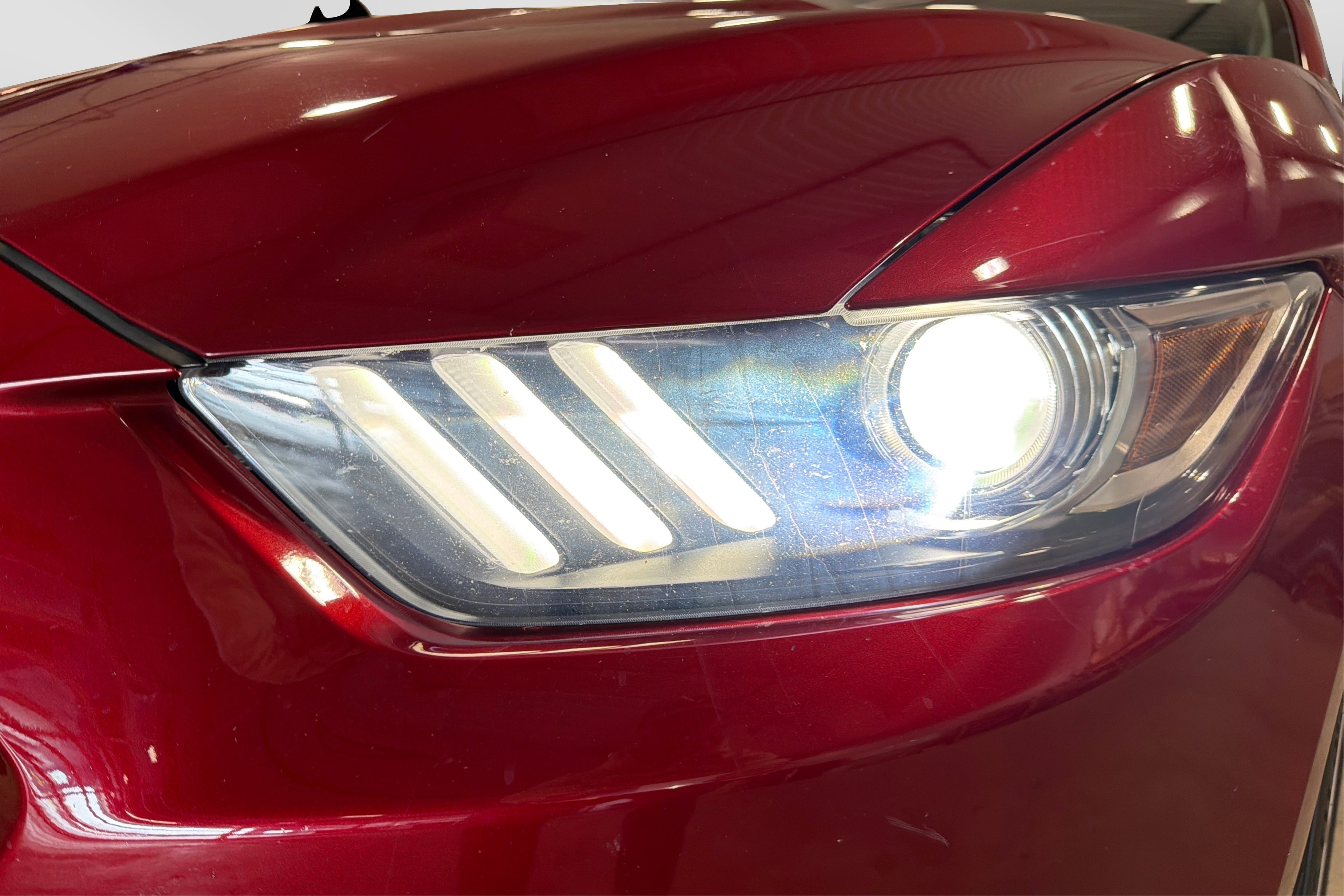 Used 2015 Ford Mustang GT Premium w/ Equipment Group 401A RWD image 13