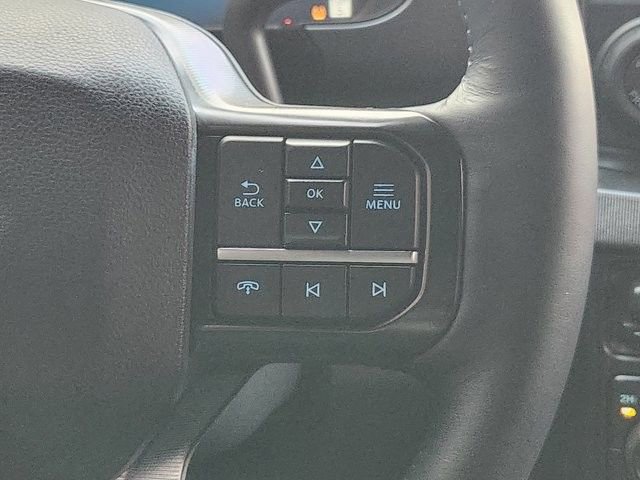 Used 2025 Ford F250 Platinum image 29