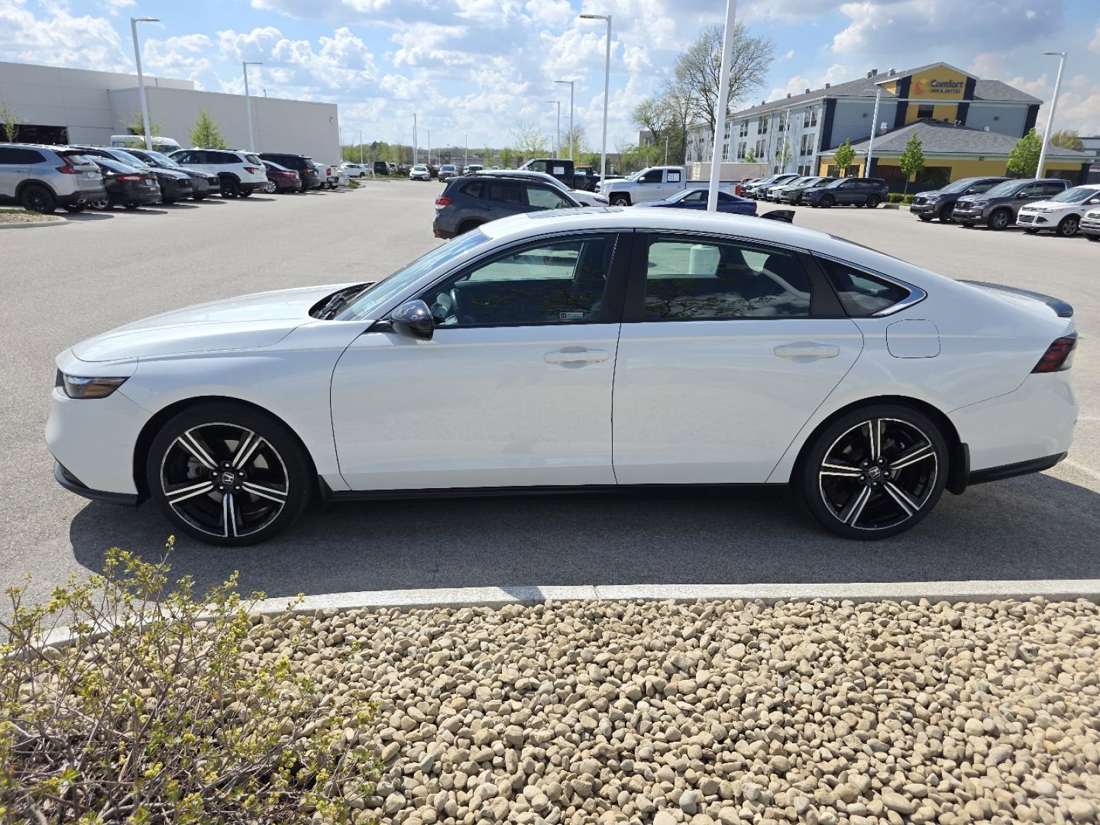 Certified 2023 Honda Accord Sport image 5