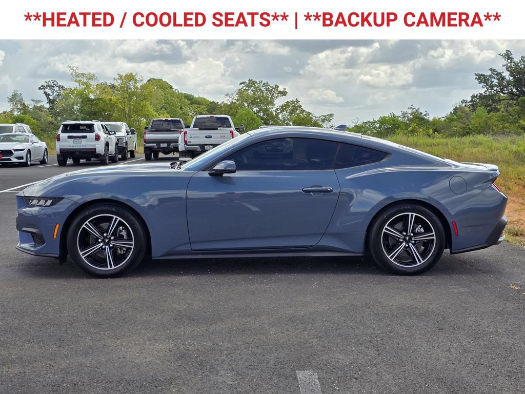 Used 2024 Ford Mustang Premium RWD image 5