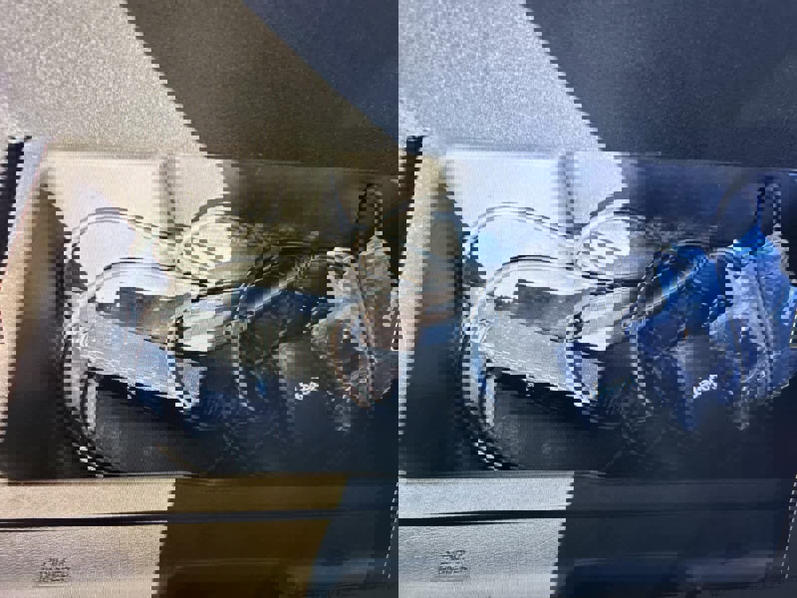 Used 2021 Jeep Wrangler Unlimited Sahara w/ Cold Weather Group image 25