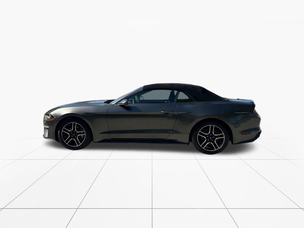 Used 2018 Ford Mustang Premium RWD image 5