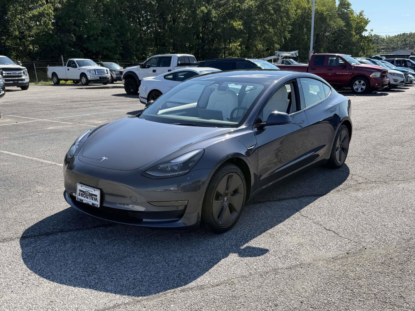 Used 2023 Tesla Model 3 Standard Range RWD image 5