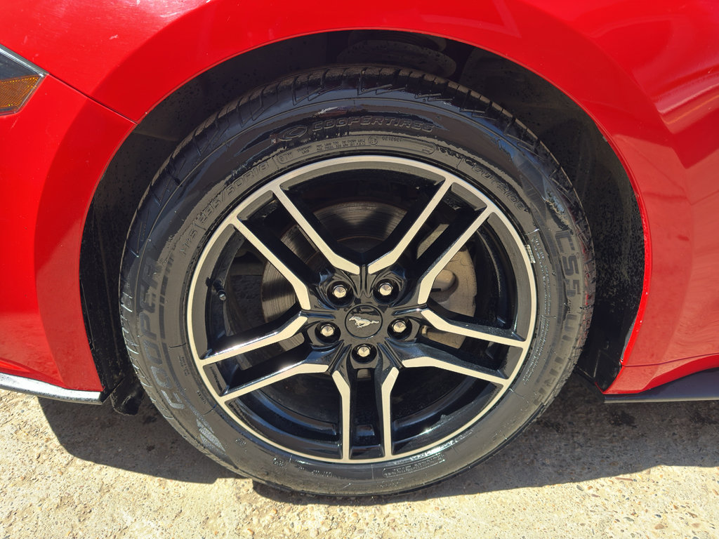 Used 2019 Ford Mustang Premium RWD image 7