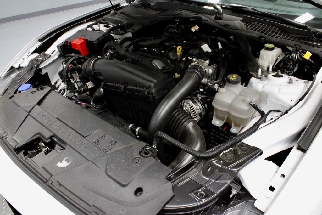 Certified 2024 Ford Mustang Premium image 18