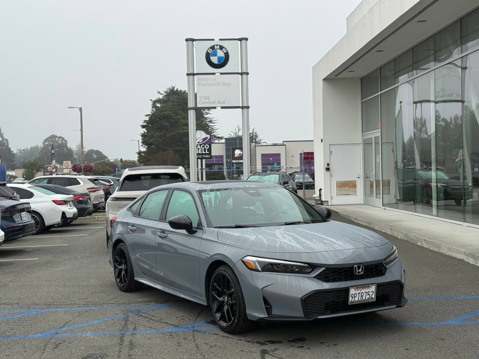 Used 2025 Honda Civic Sport