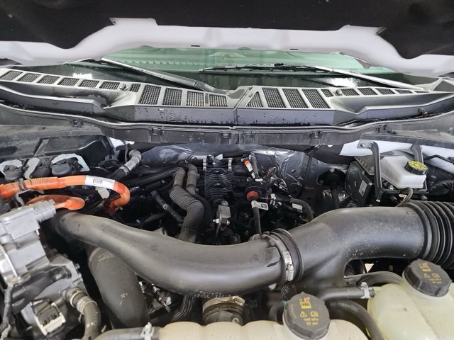 Used 2025 Ford F150 XLT w/ Equipment Group 301A Standard AWD/4WD image 18