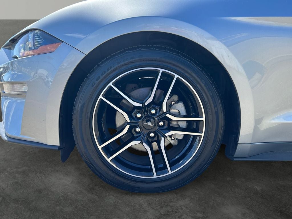 Used 2023 Ford Mustang Premium w/ Equipment Group 201A RWD image 4