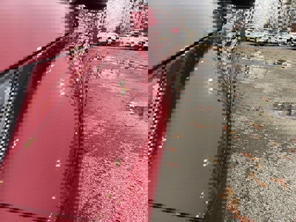 Used 2024 Hyundai Venue SEL image 6