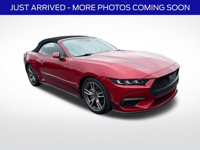 Used 2024 Ford Mustang Premium