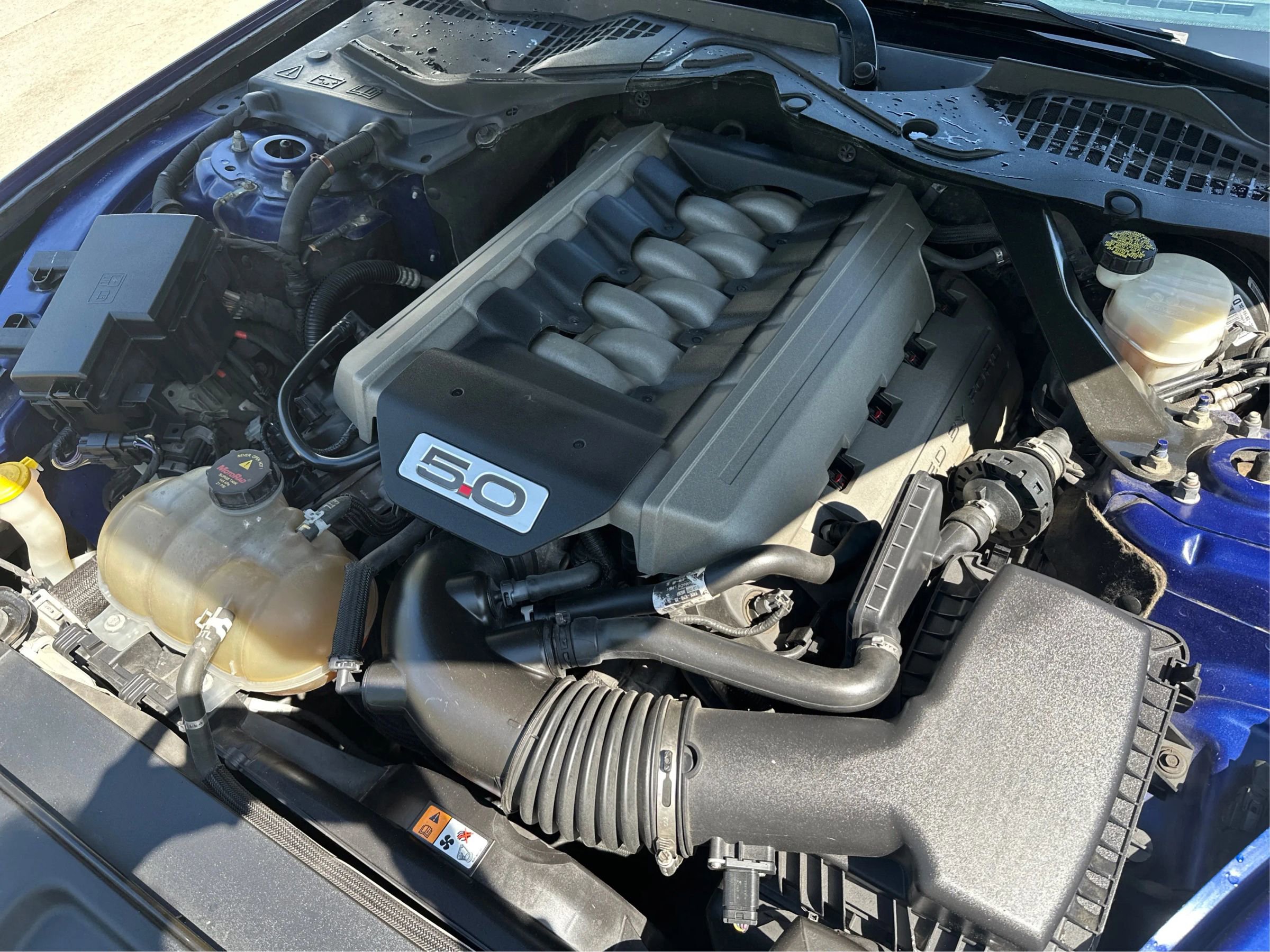 Used 2016 Ford Mustang GT Premium RWD image 22