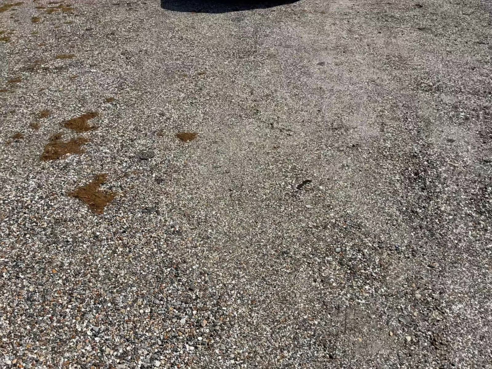 Used 2025 Chevrolet Equinox LT AWD/4WD image 13