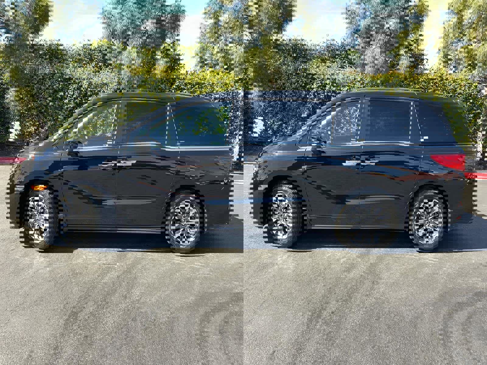 Used 2023 Honda Odyssey EX-L image 3