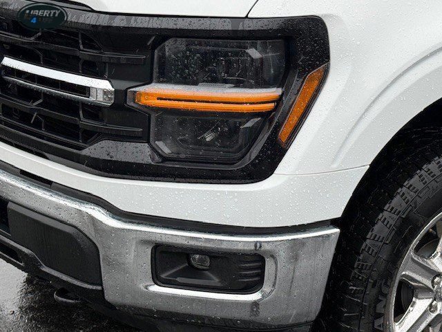 Used 2025 Ford F150 XLT w/ Equipment Group 301A Standard AWD/4WD image 9