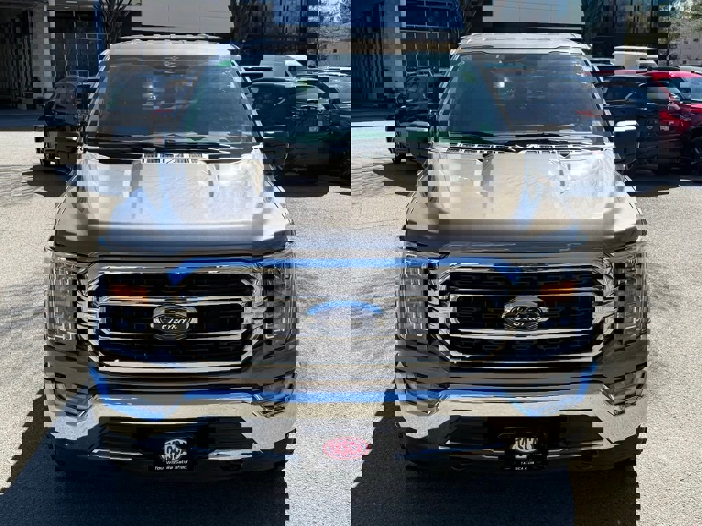 Used 2023 Ford F150 XLT w/ Equipment Group 302A High image 2