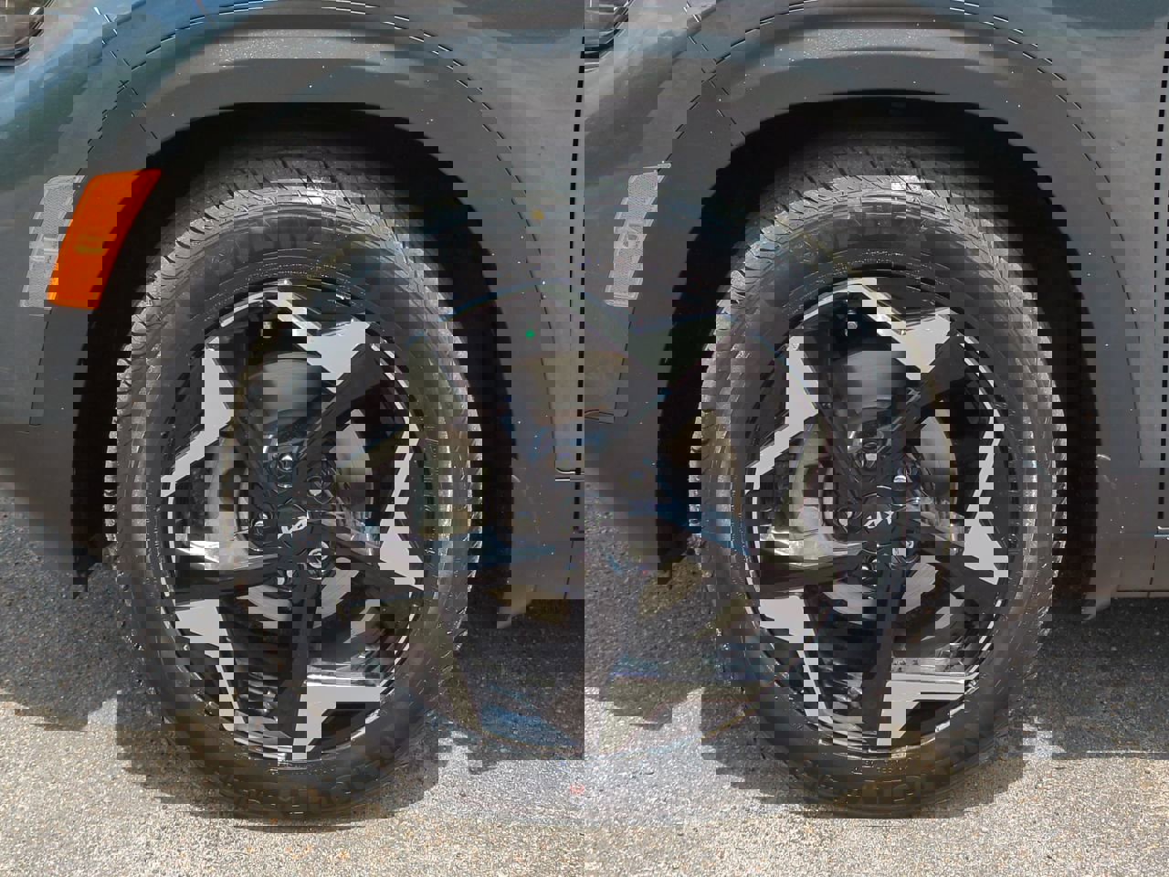 Used 2024 Kia Seltos EX FWD image 11