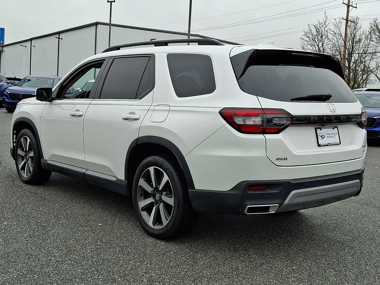 Used 2024 Honda Pilot Elite image 4