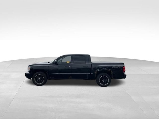 Used 2008 Dodge Dakota Sport w/ Trailer Tow Group AWD/4WD image 2