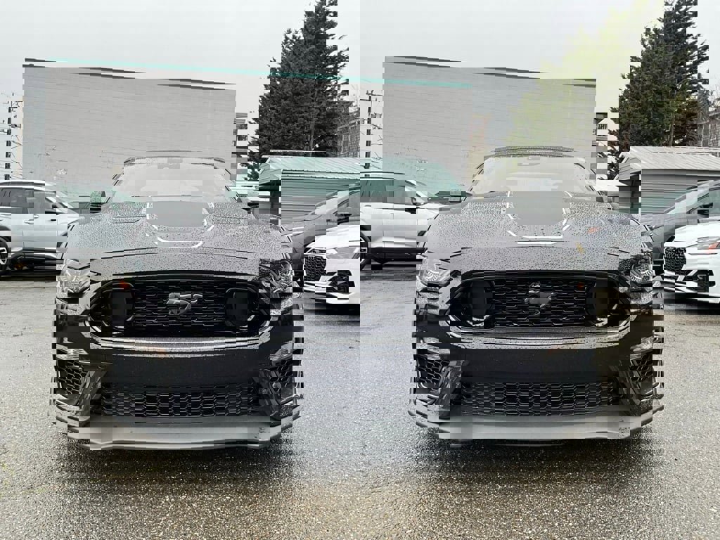 Used 2023 Ford Mustang Mach 1 image 3