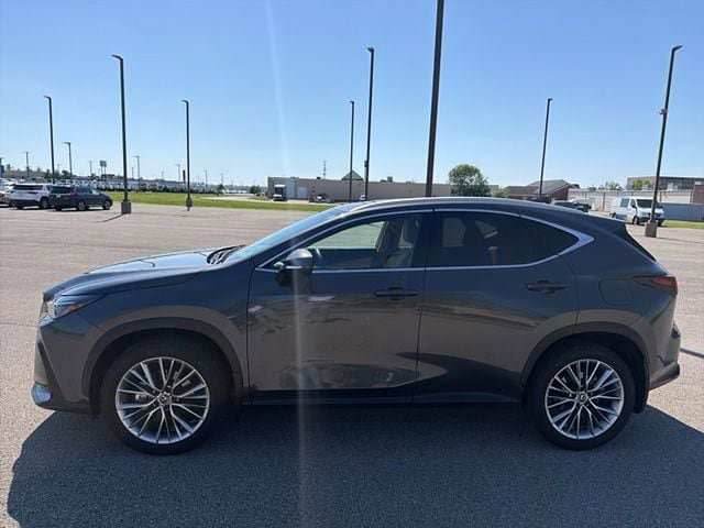 Used 2025 Lexus NX 350 AWD w/ Cold Area Package image 3