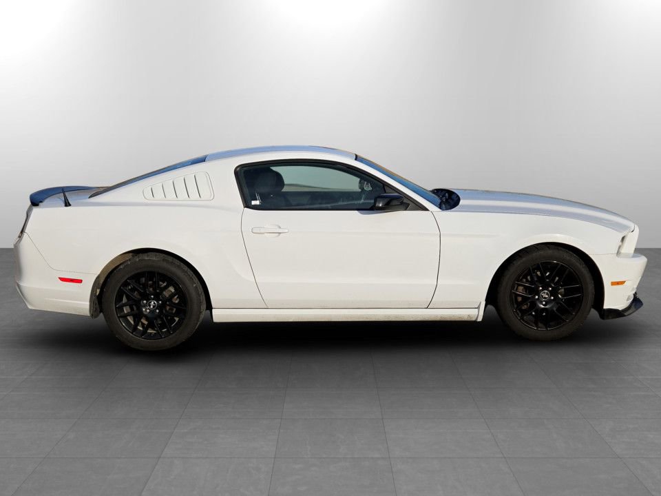 Used 2014 Ford Mustang Coupe w/ Equipment Group 102A image 5