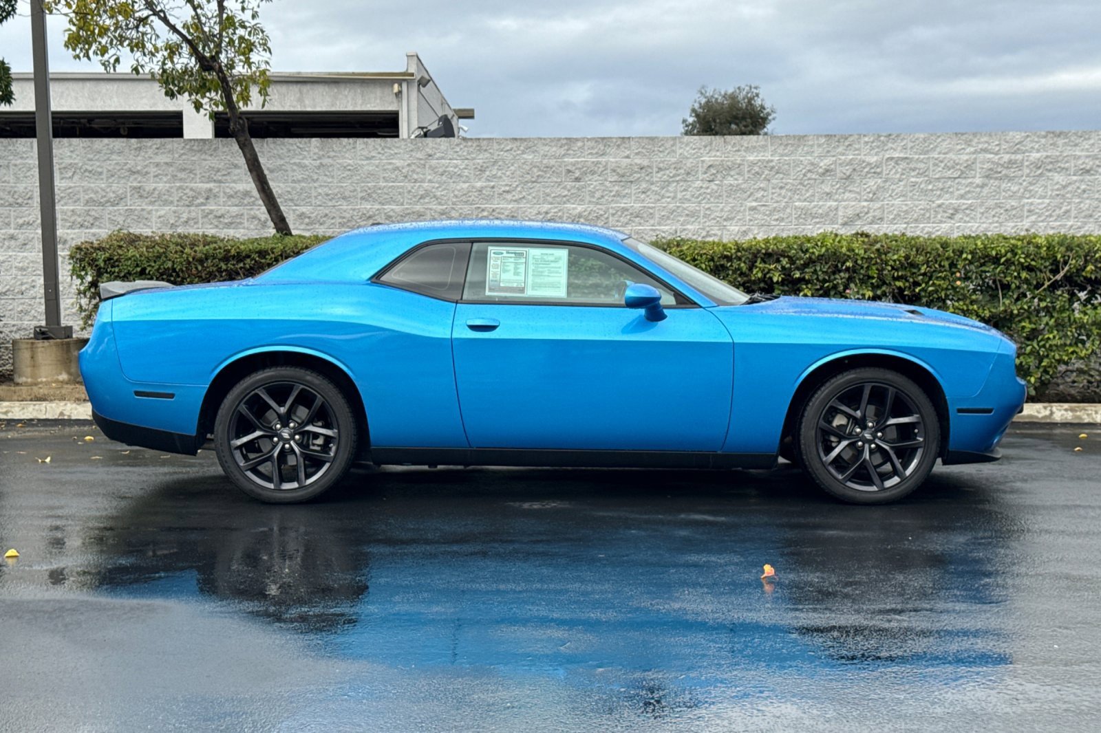 Used 2023 Dodge Challenger SXT w/ Blacktop Package image 3