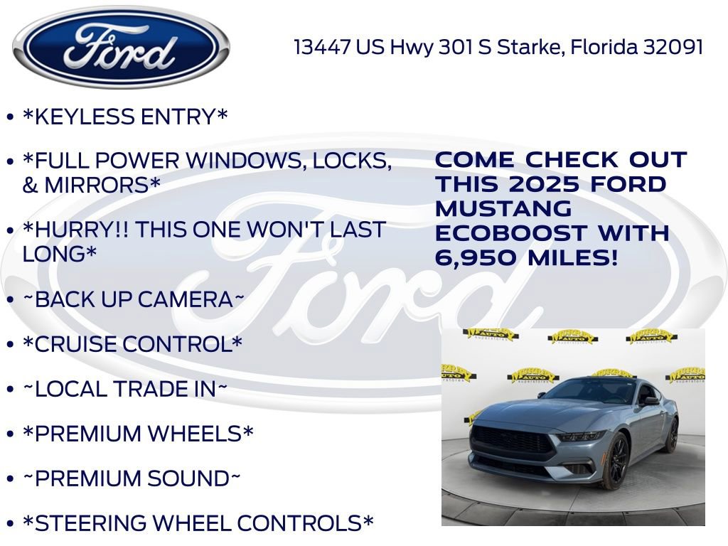 Certified 2025 Ford Mustang Coupe w/ Mustang Nite Pony Package image 12