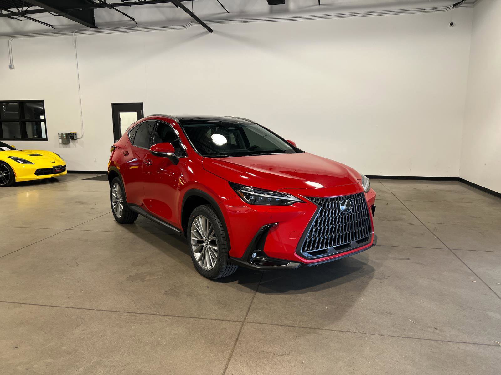 Used 2025 Lexus NX 300h NX 350h Luxury image 1