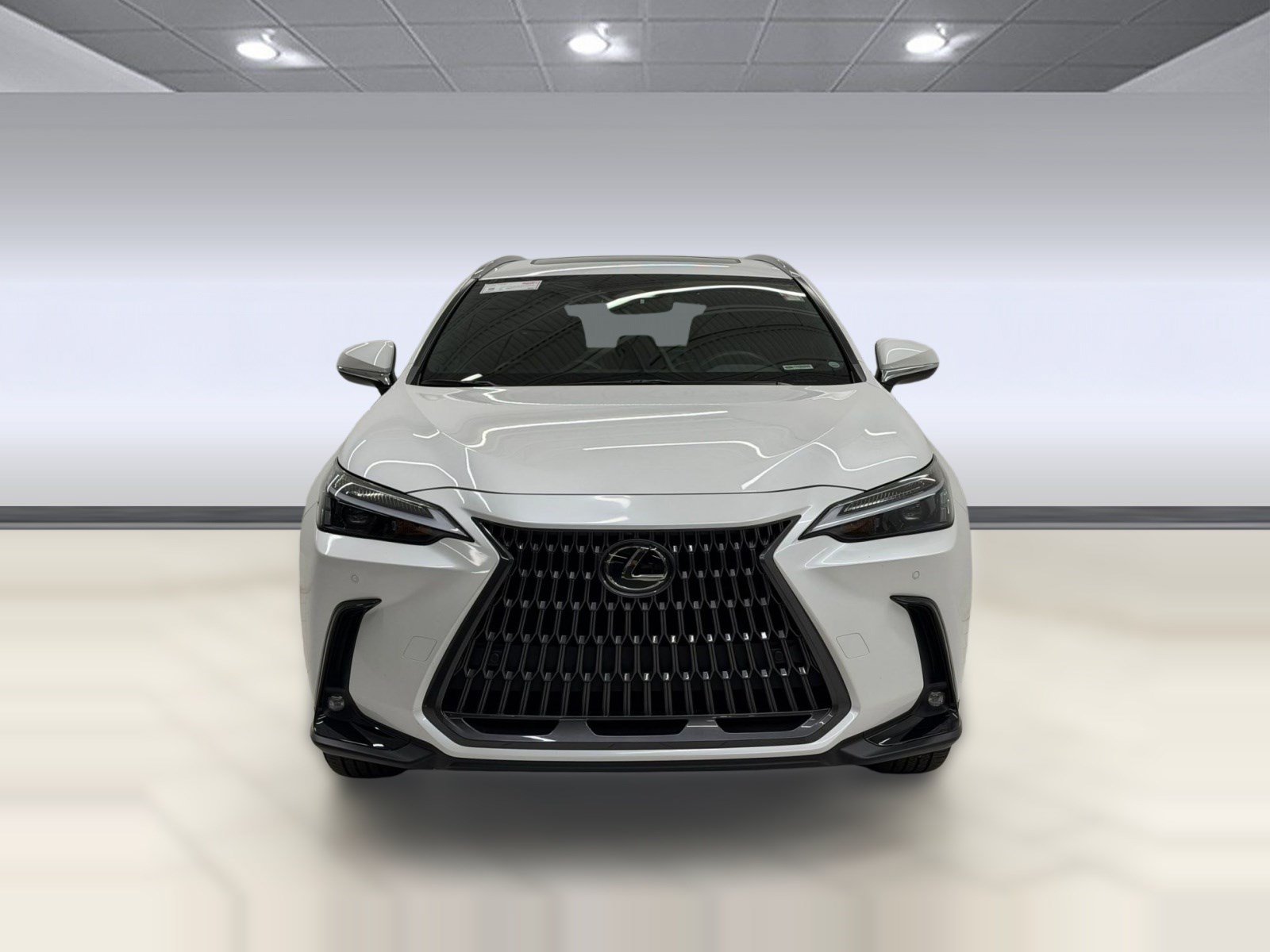Used 2024 Lexus NX 350 AWD image 5