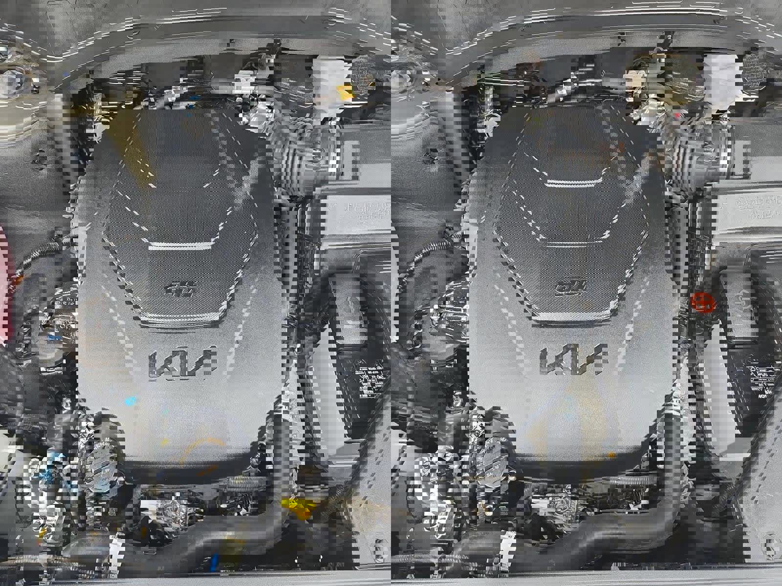 Used 2023 Kia Telluride SX Prestige image 13