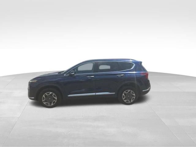 Used 2023 Hyundai Santa Fe Blue AWD/4WD image 4