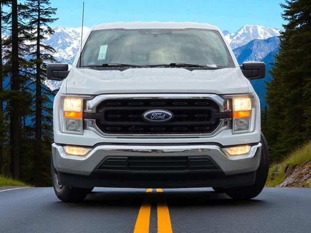 Used 2022 Ford F150 XLT w/ Equipment Group 301A Mid image 3