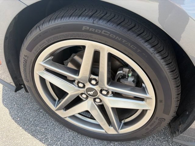 Used 2024 Ford Mustang Coupe RWD image 12