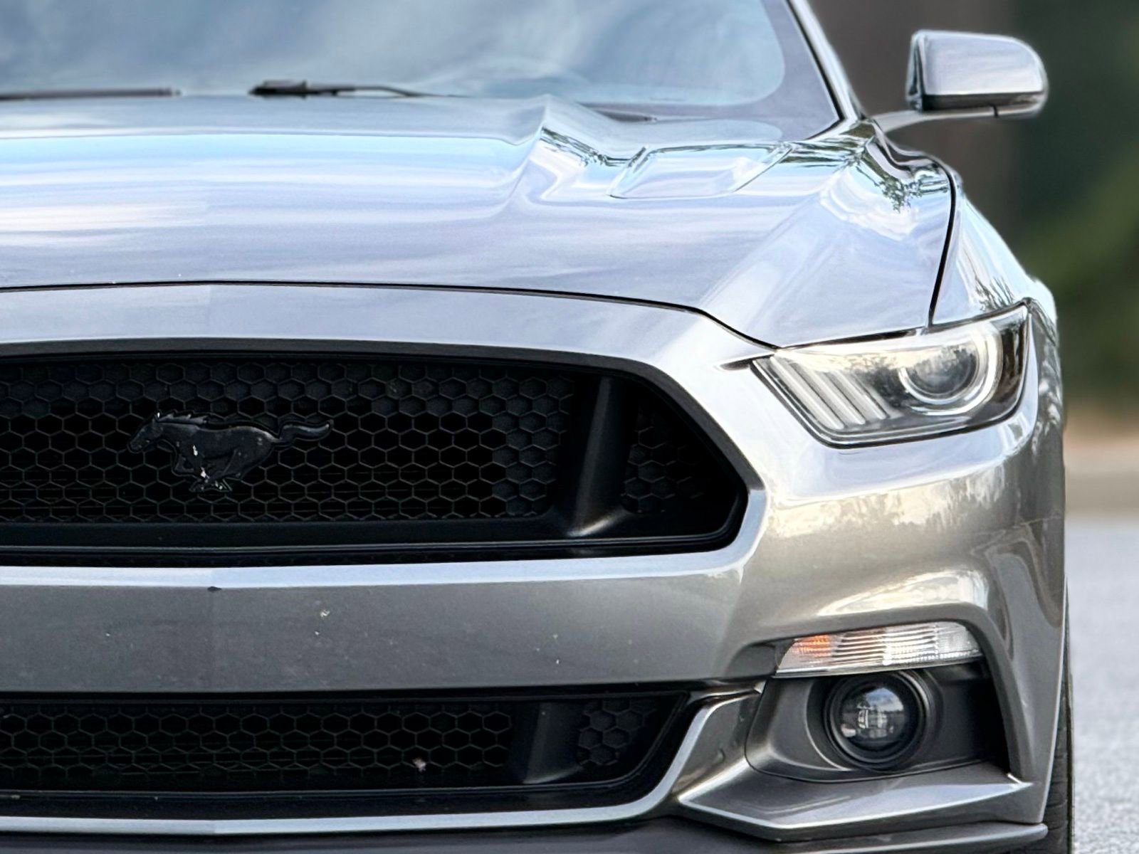 Used 2017 Ford Mustang GT Premium w/ Equipment Group 401A image 14