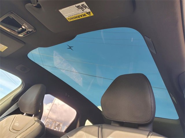 New 2025 Polestar Polestar 3 PLUS & PILOT image 11