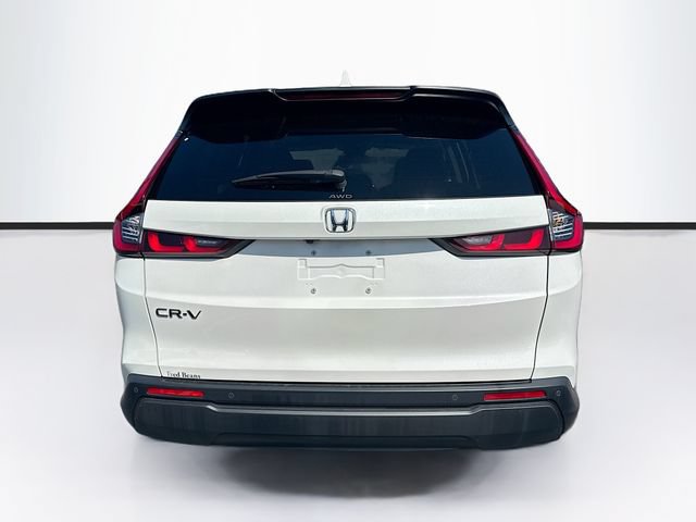 Certified 2024 Honda CR-V EX-L image 6