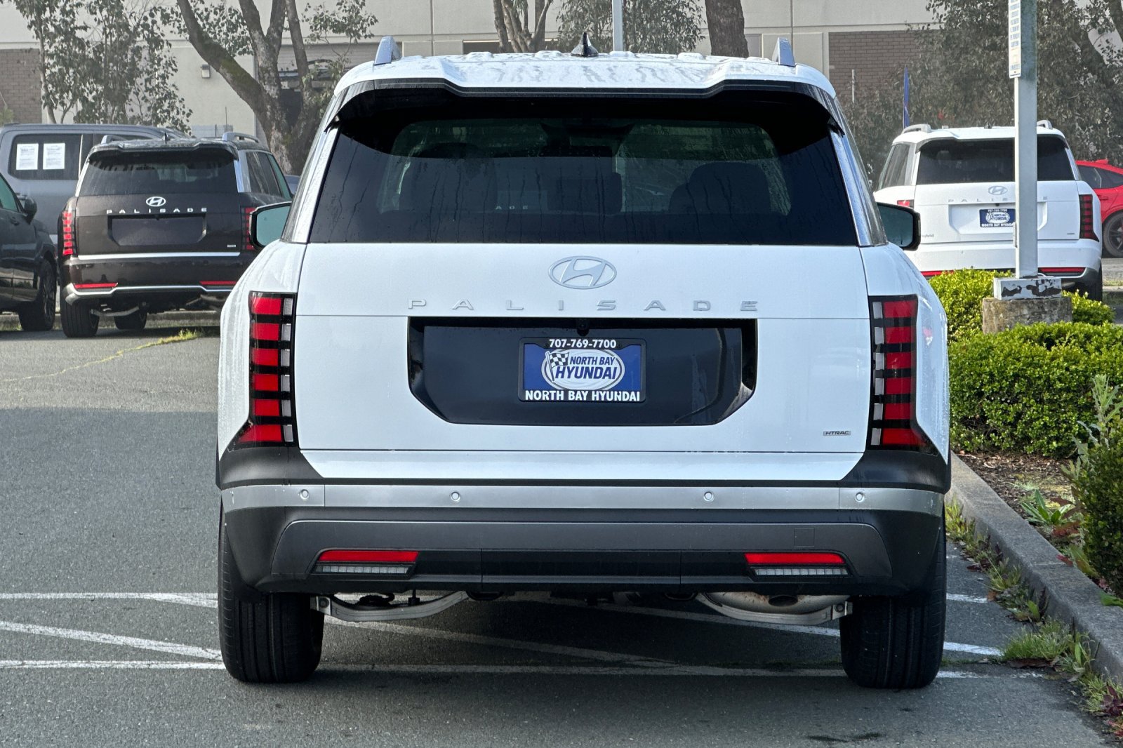 New 2026 Hyundai Palisade SEL AWD/4WD image 5