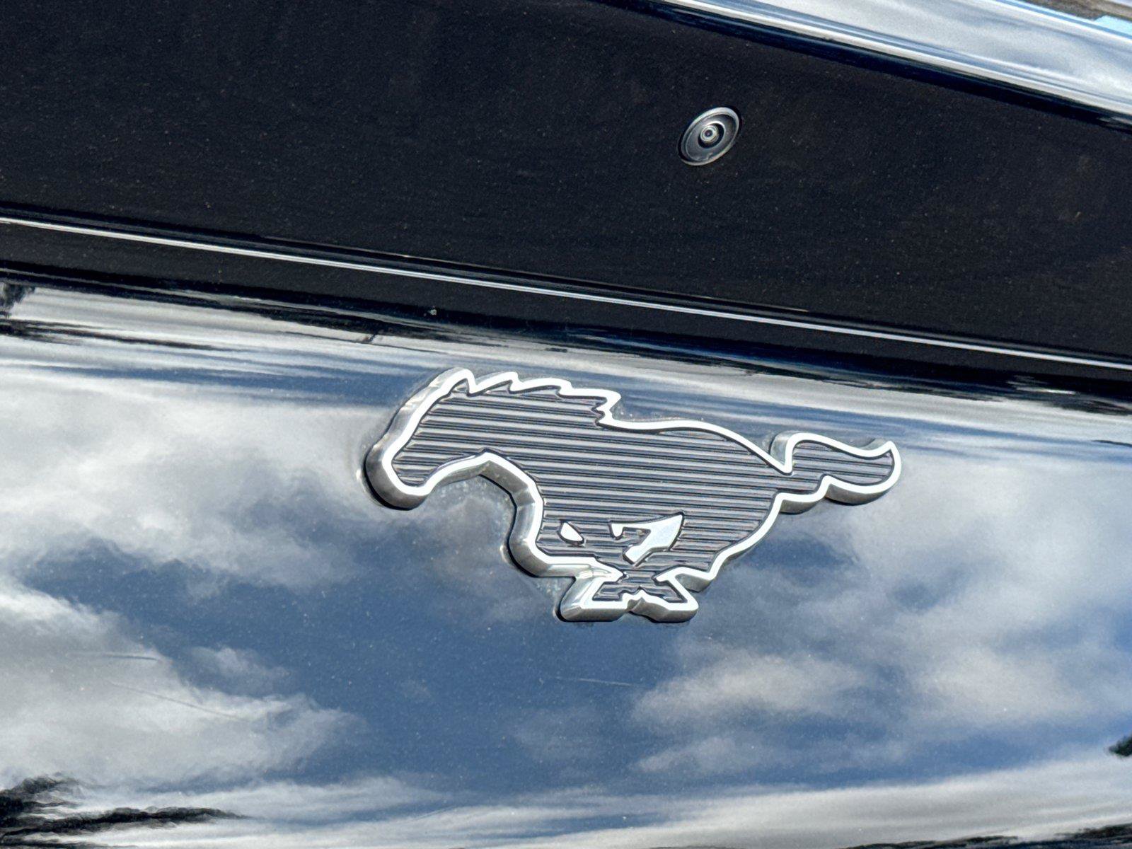 Used 2022 Ford Mustang Mach-E Premium AWD/4WD image 12