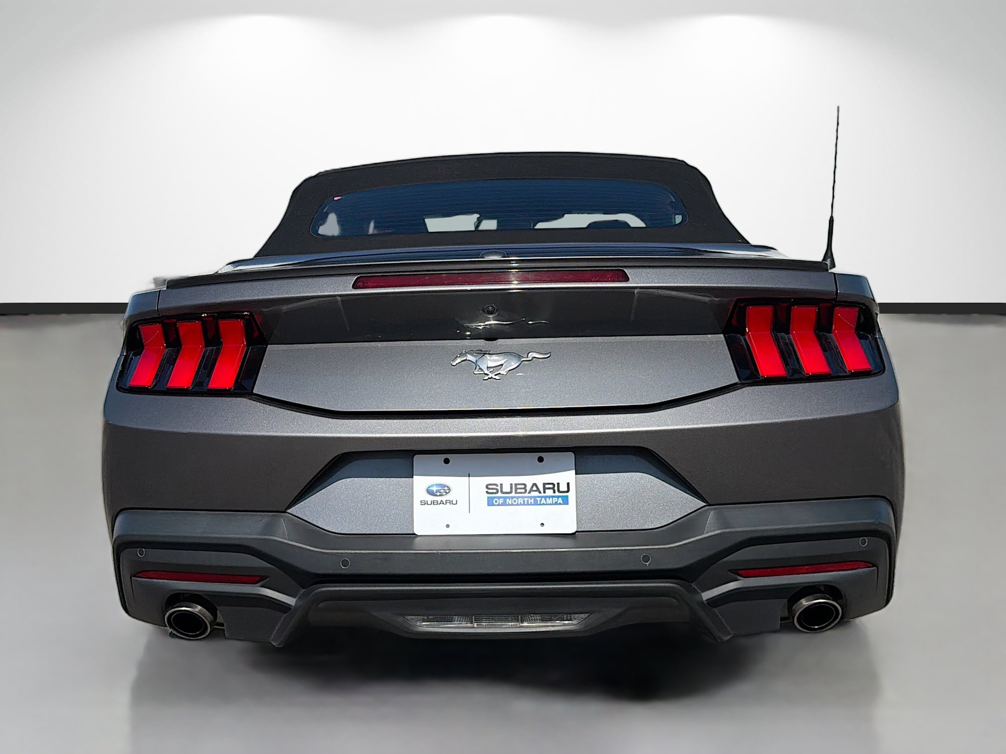 Used 2024 Ford Mustang Premium RWD image 4