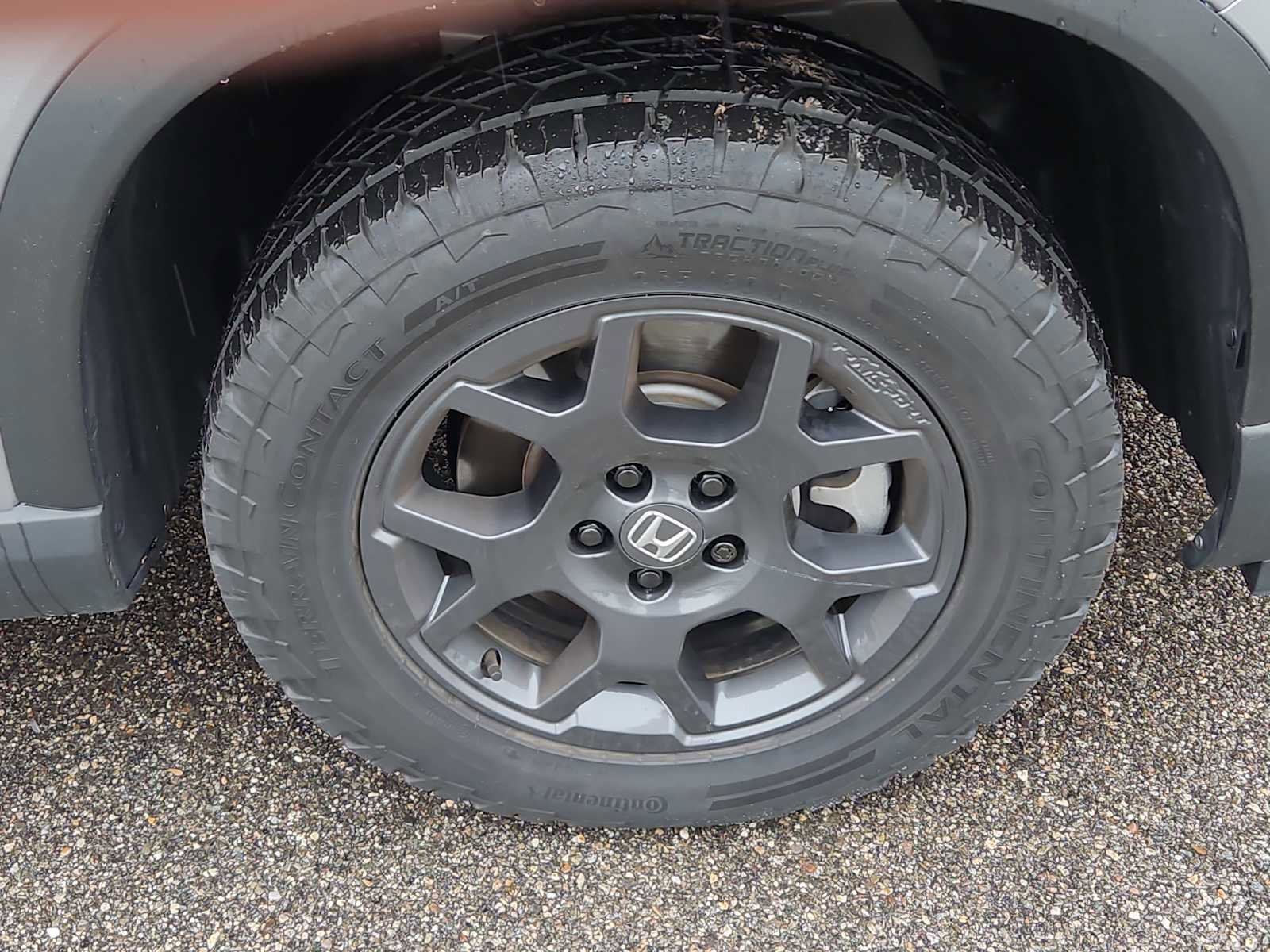 Certified 2025 Honda Pilot TrailSport image 10
