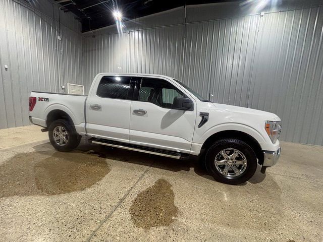 Used 2023 Ford F150 XLT w/ Equipment Group 301A Mid image 7