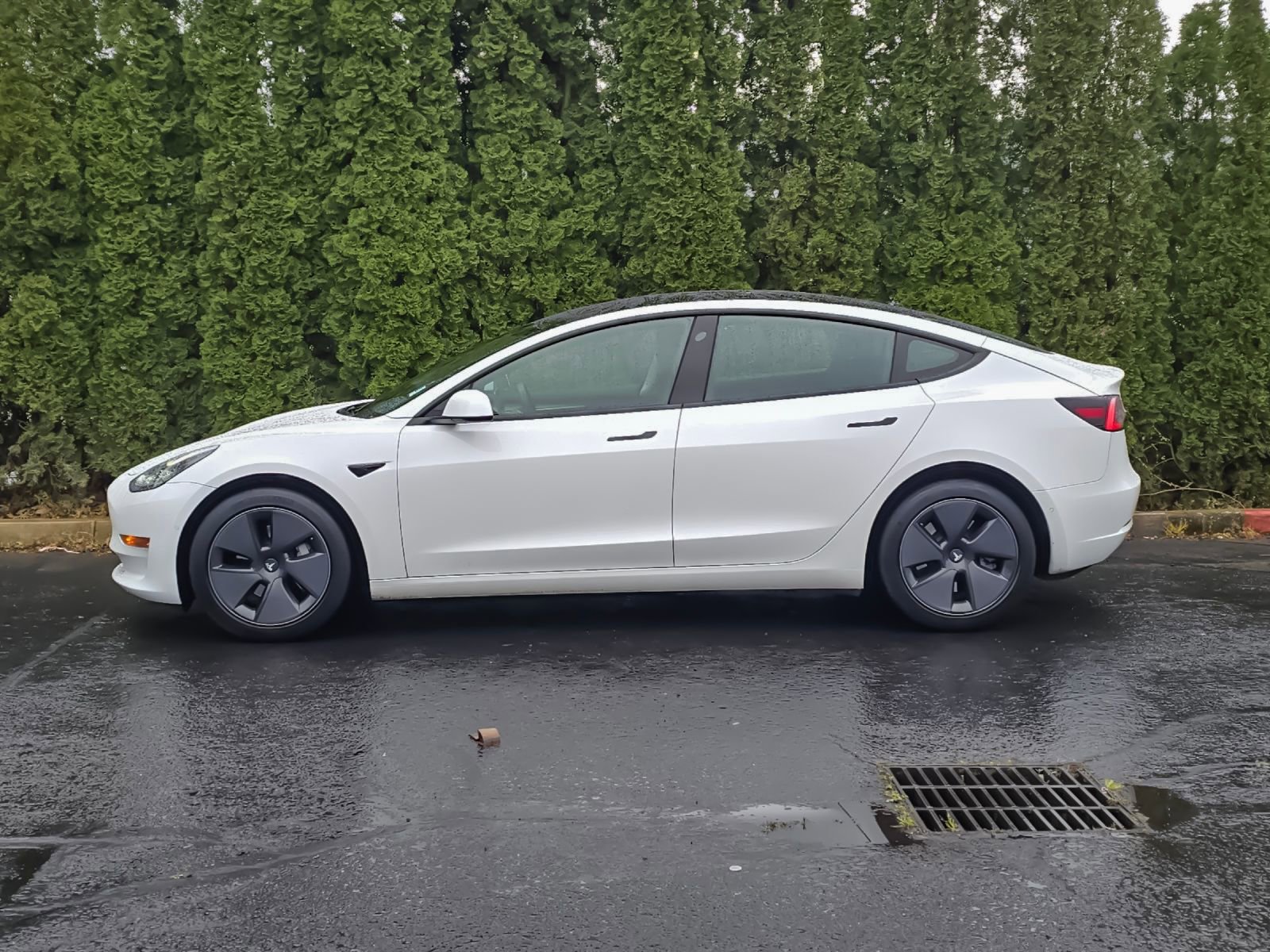 Used 2021 Tesla Model 3 Standard Range Plus image 6