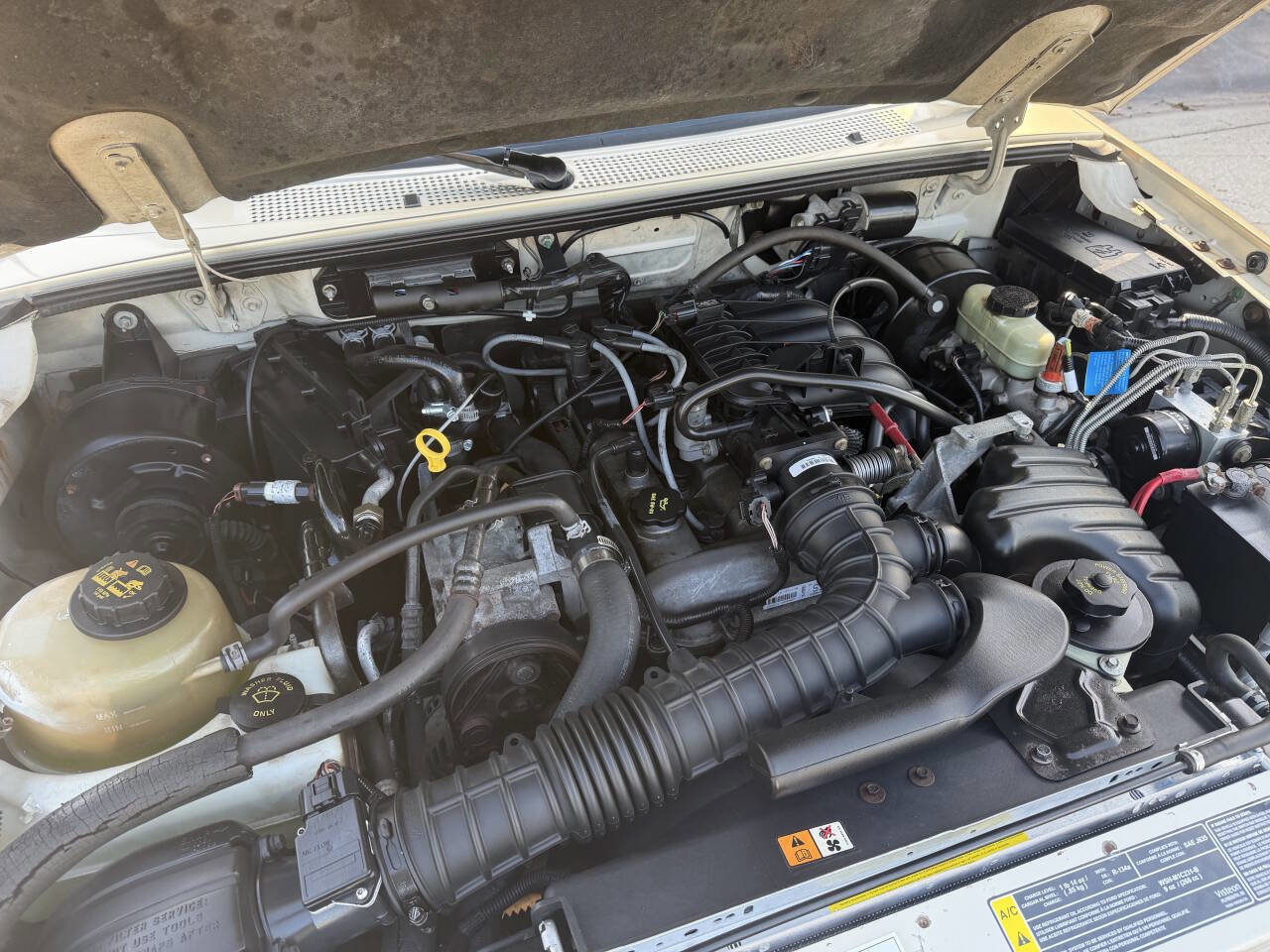 Used 2002 Ford Ranger XLT RWD image 14