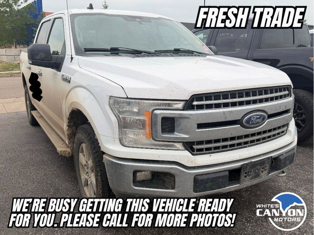Used 2019 Ford F150 XLT w/ Equipment Group 302A Luxury AWD/4WD image 3
