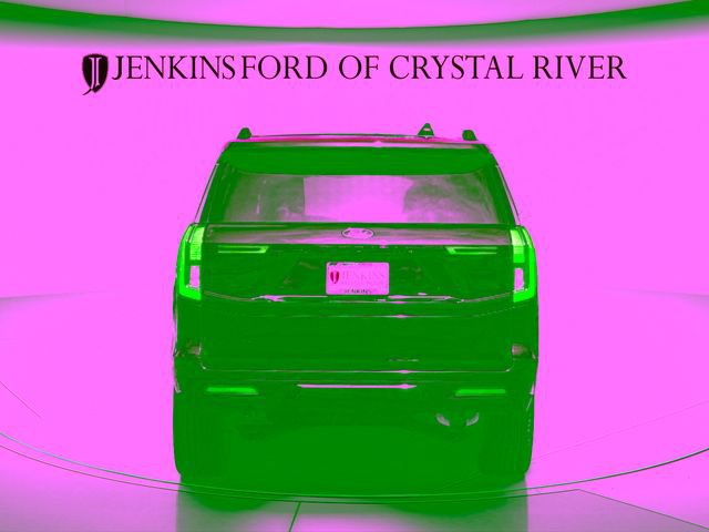 New 2026 Ford Expedition Platinum w/ Stealth Performance Package AWD/4WD image 5