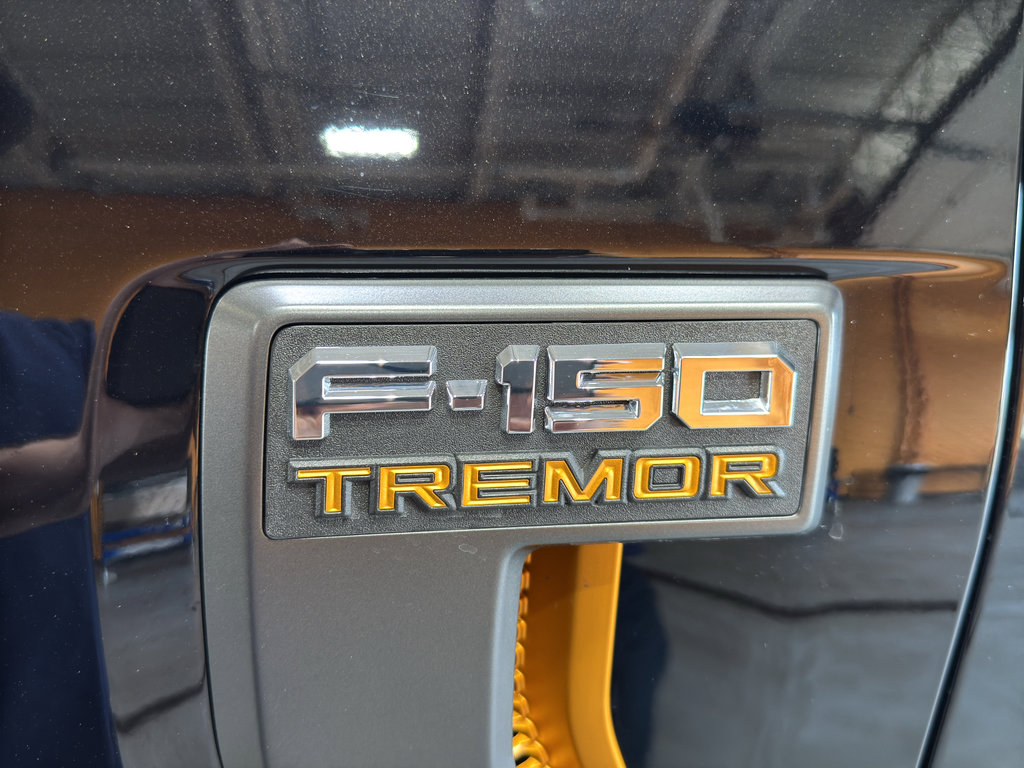 Used 2025 Ford F150 Tremor AWD/4WD image 10