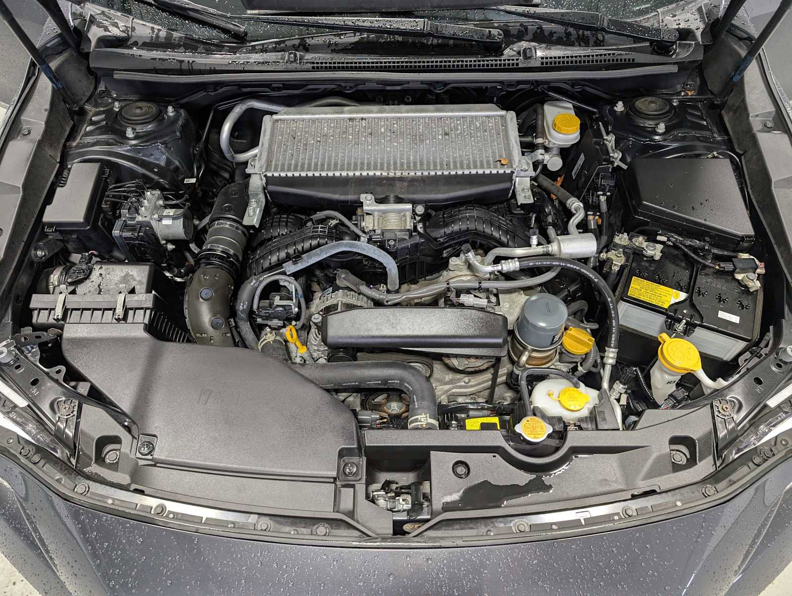 Used 2023 Subaru WRX Premium AWD/4WD image 14