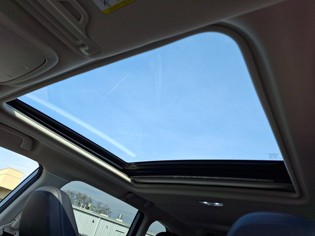 Used 2023 Subaru Forester Limited image 14